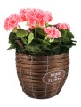 d9bd305bb435e70cdd5db0dafa205c97